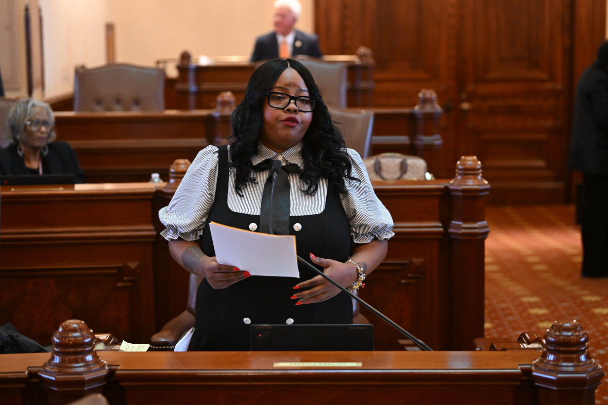 State Senator Lakesia Collins - HB 4379