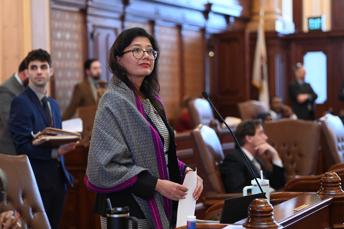 Senator Karina Villa