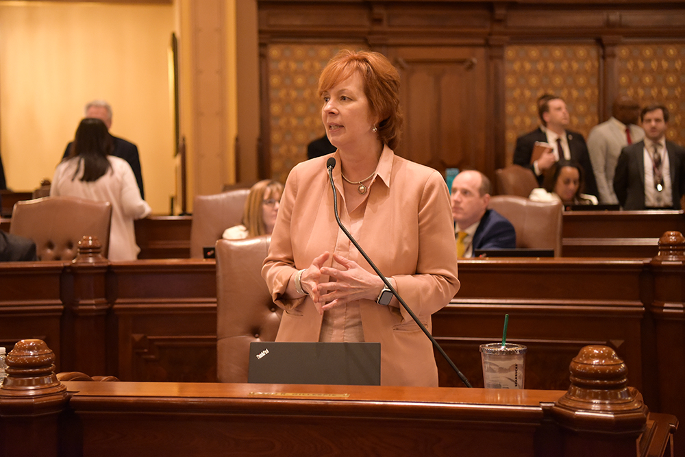 Sen. Ann Gillespie