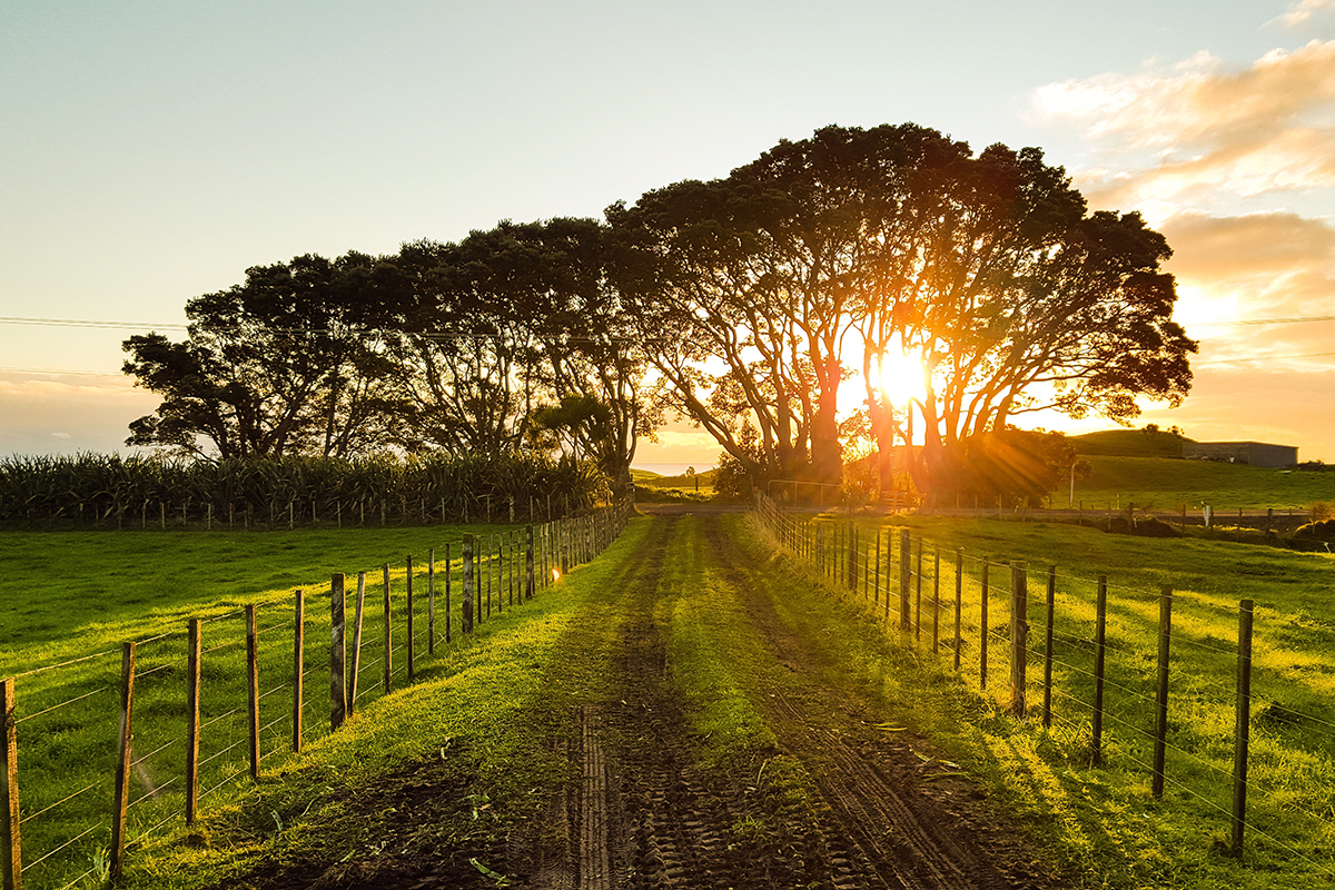 Farm road
