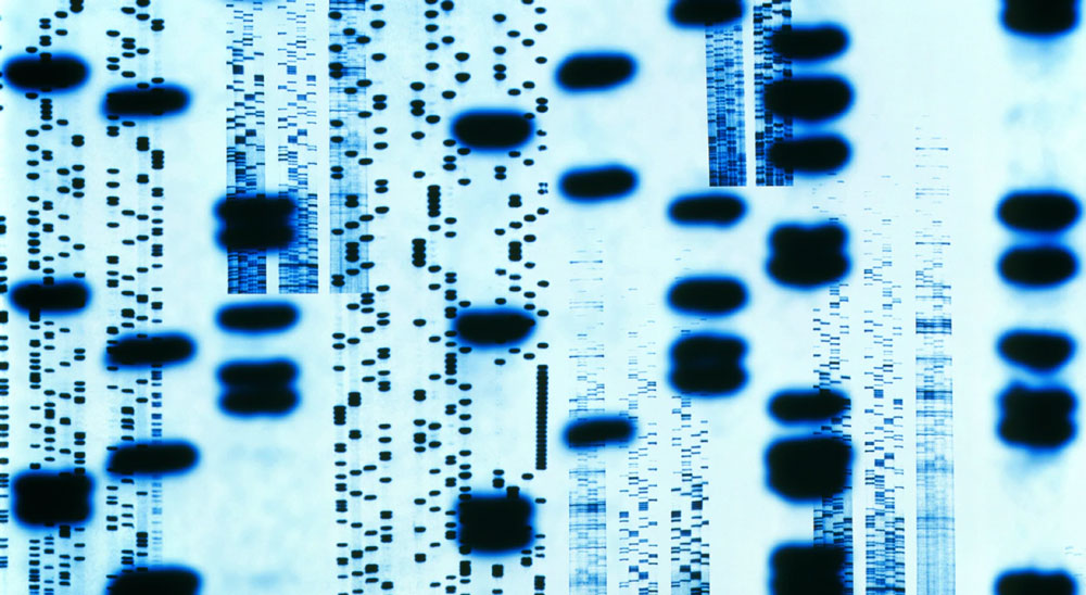 dna test 080720