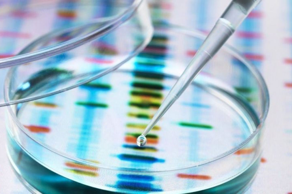 dna test 120220