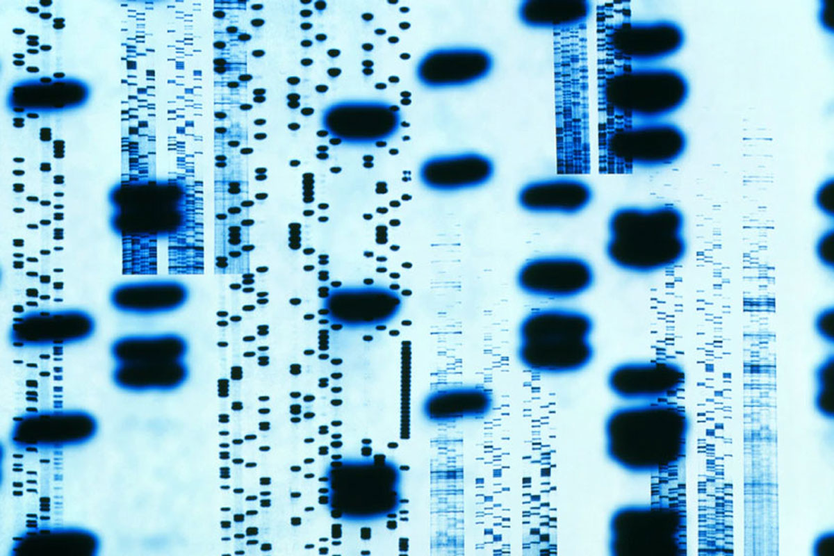 dna test 120420