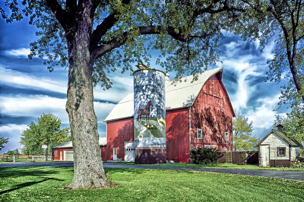 Farm