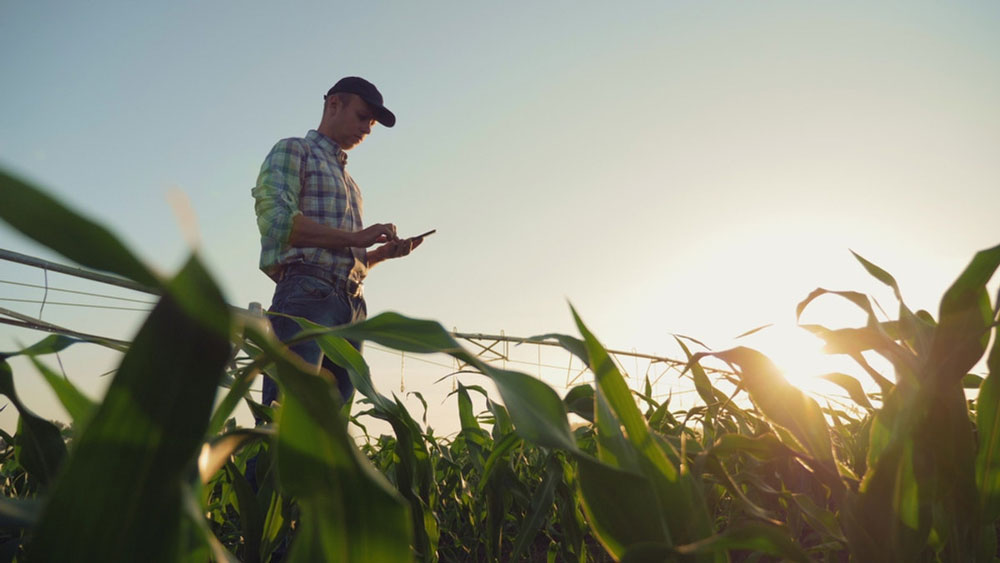 farmeronphone 042320