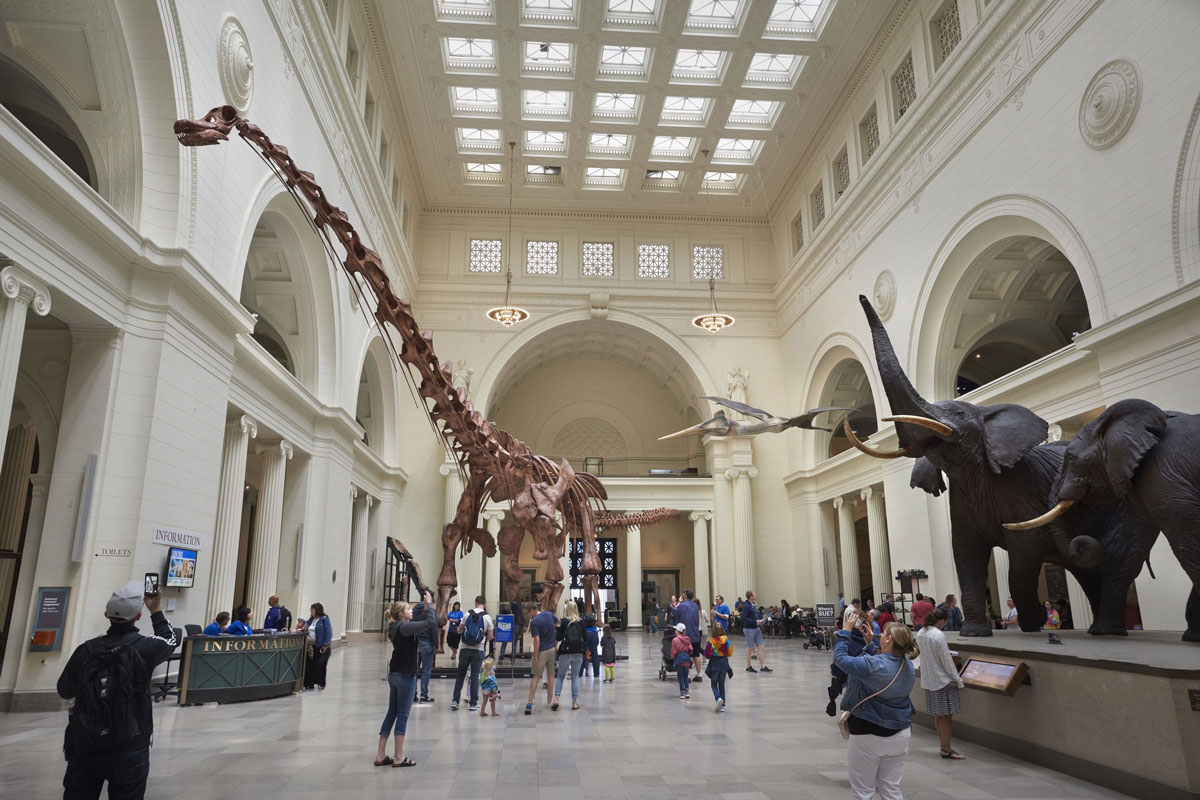 field museum 112020