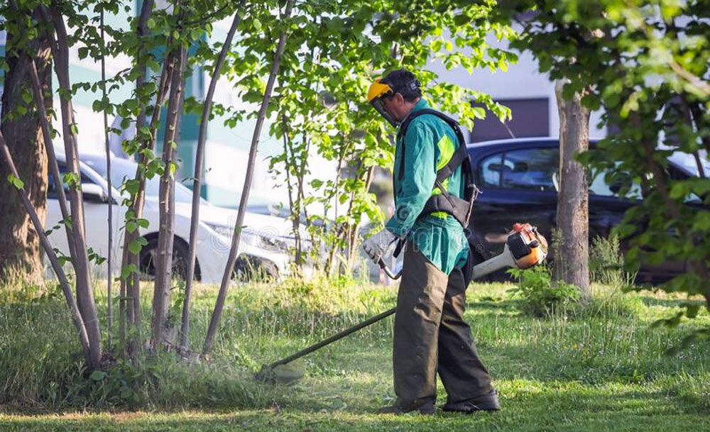 park worker 072120