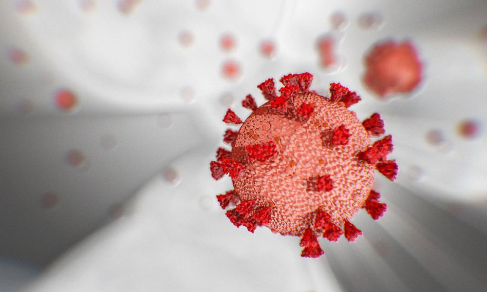 virus 061220