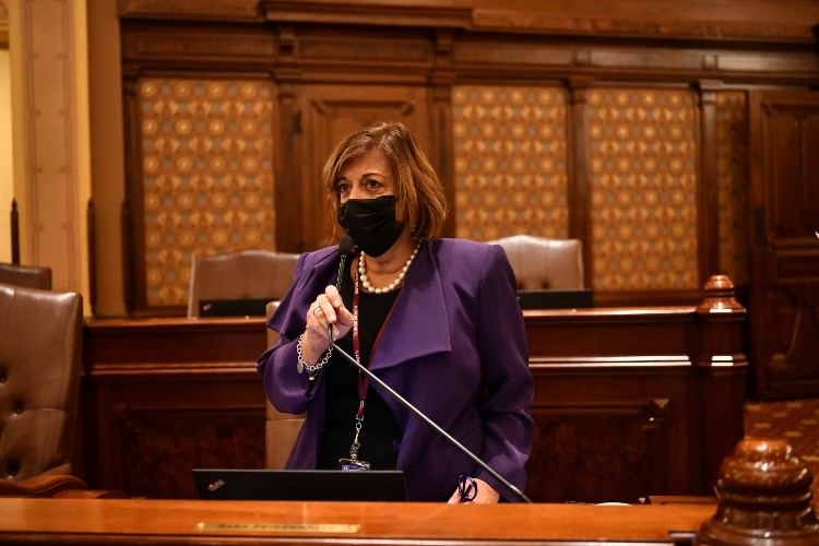 Senator Feigenholtz