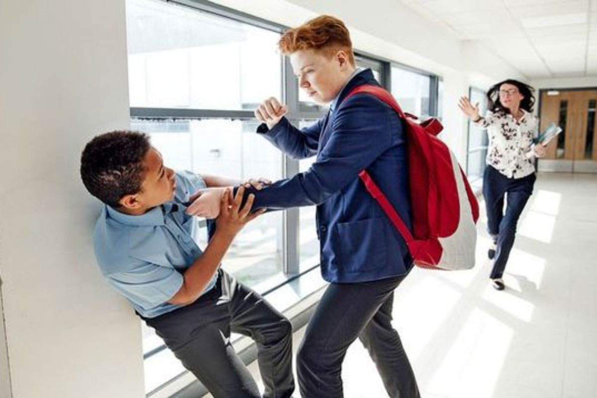 bully 080921