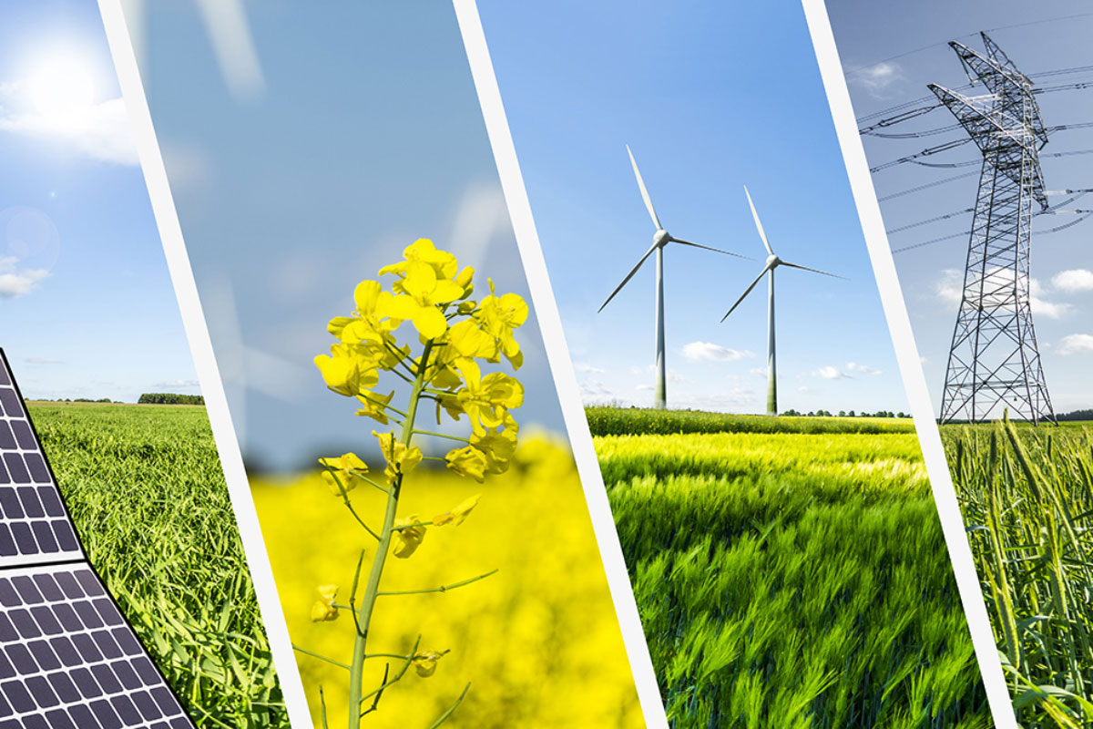 bush energy 050621