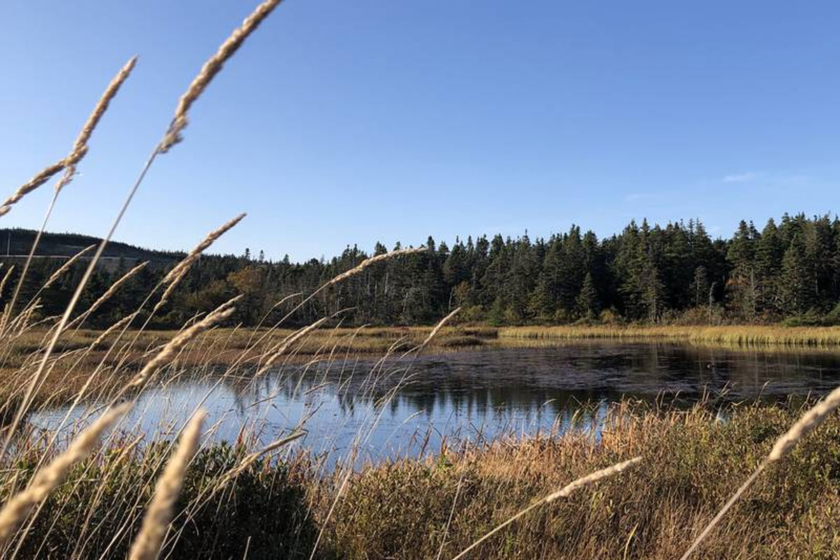 conservation 032221