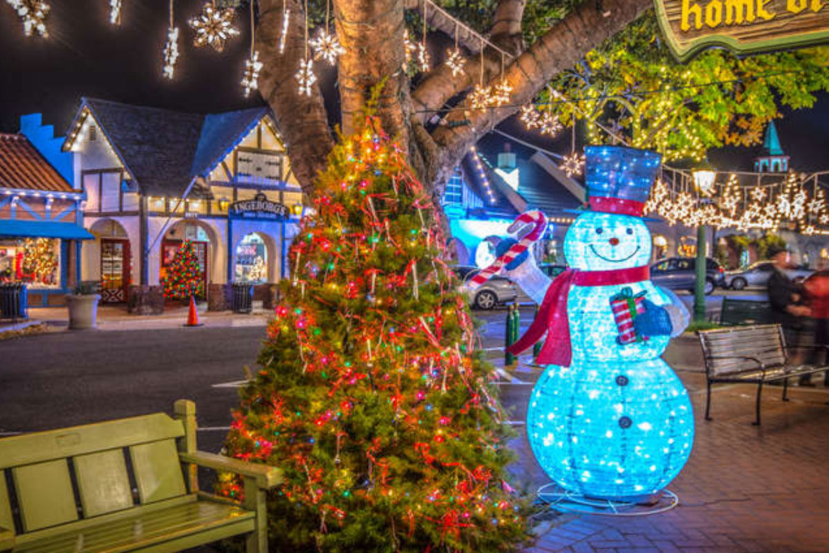 shop local holidays 112321