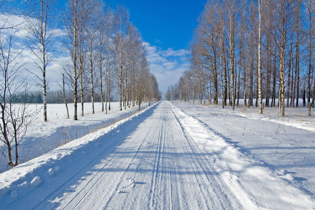 winter travel 112221