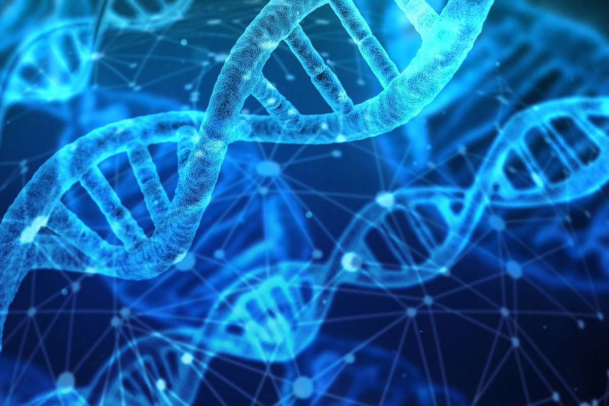DNA test 033022