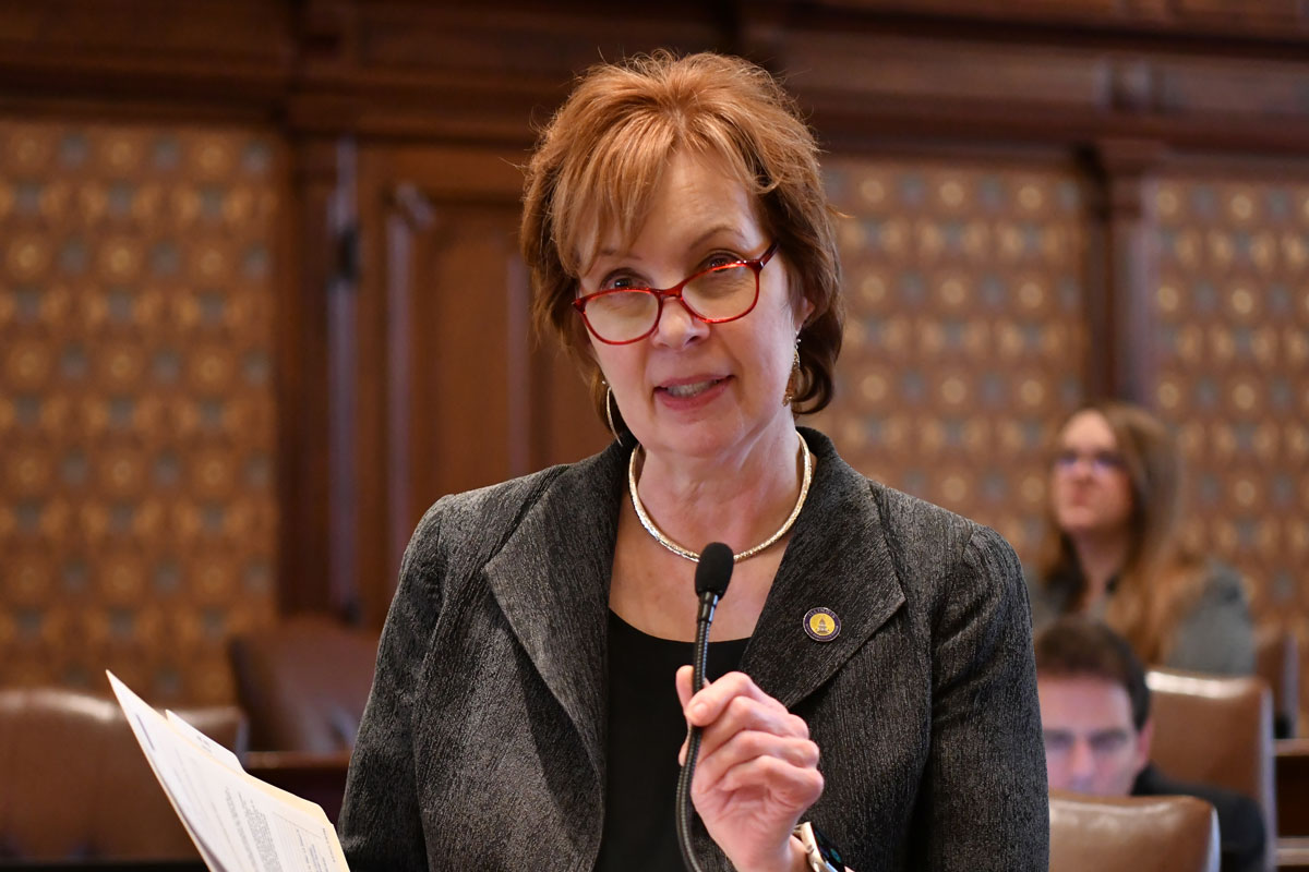 Sen. Ann Gillespie