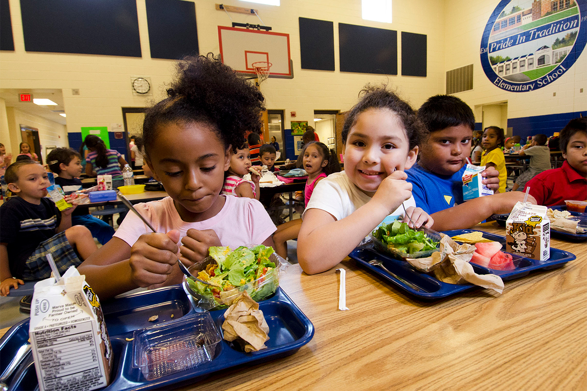 school lunches