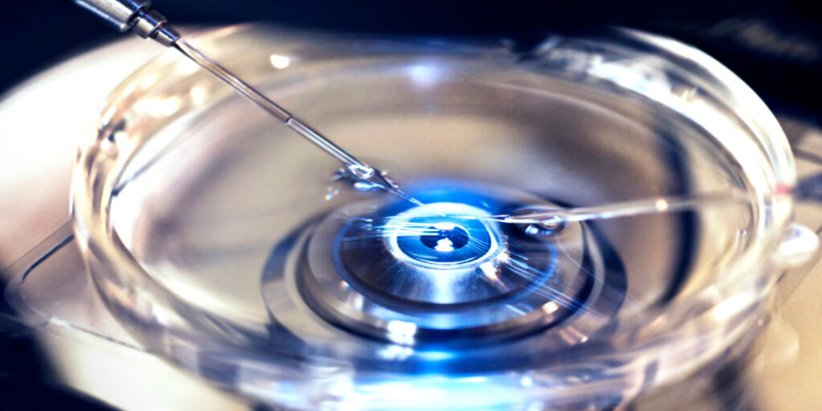 fertility fraud 040323