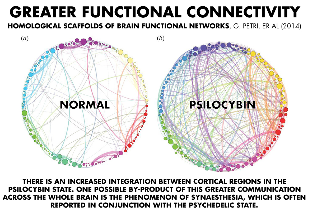 ventura psilocybin
