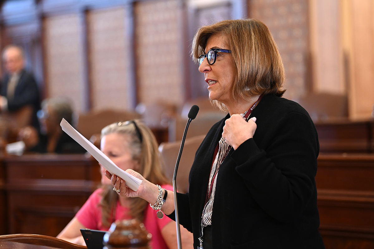 Sen. Feigenholtz