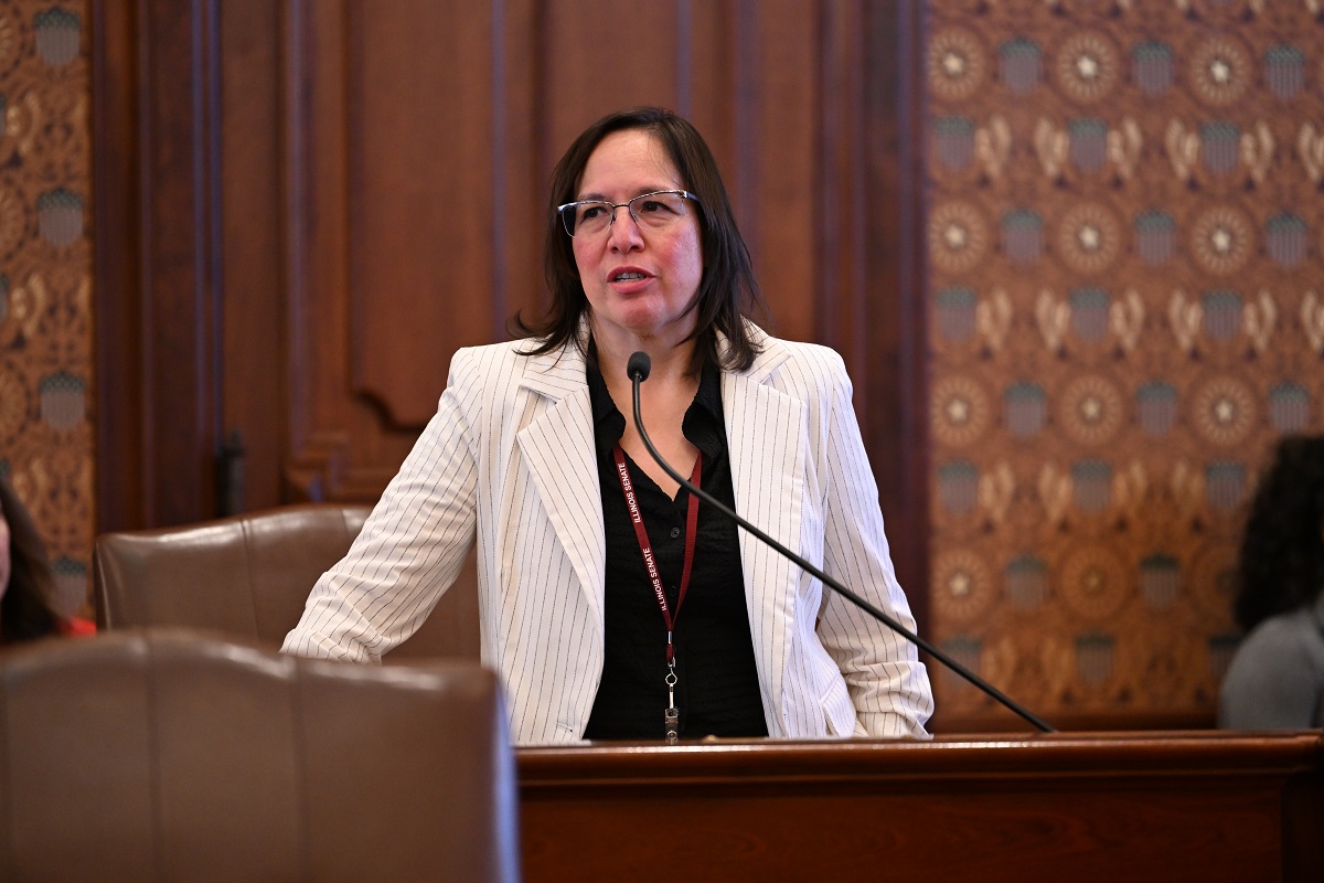 (Photo) Sen. Castro addresses the Senate.