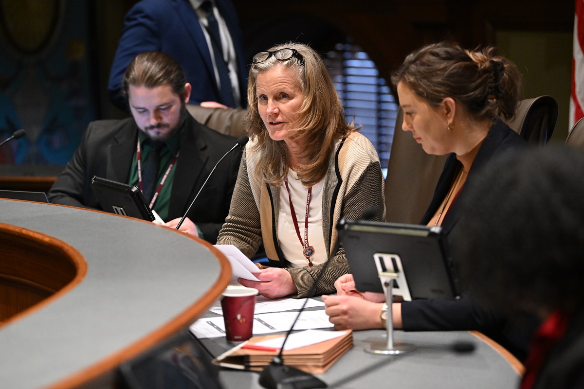 State Senator Ellman speaking at a microphone.