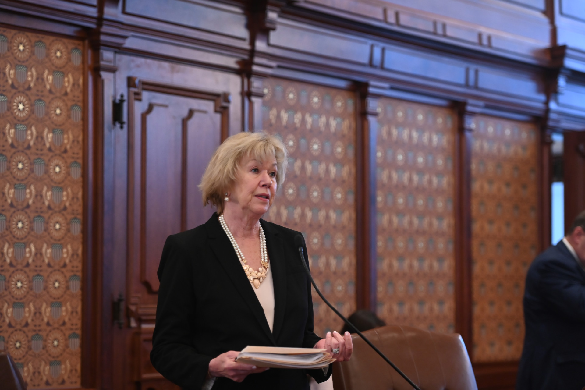 State Senator Julie Morrison speaks on the Senate floor