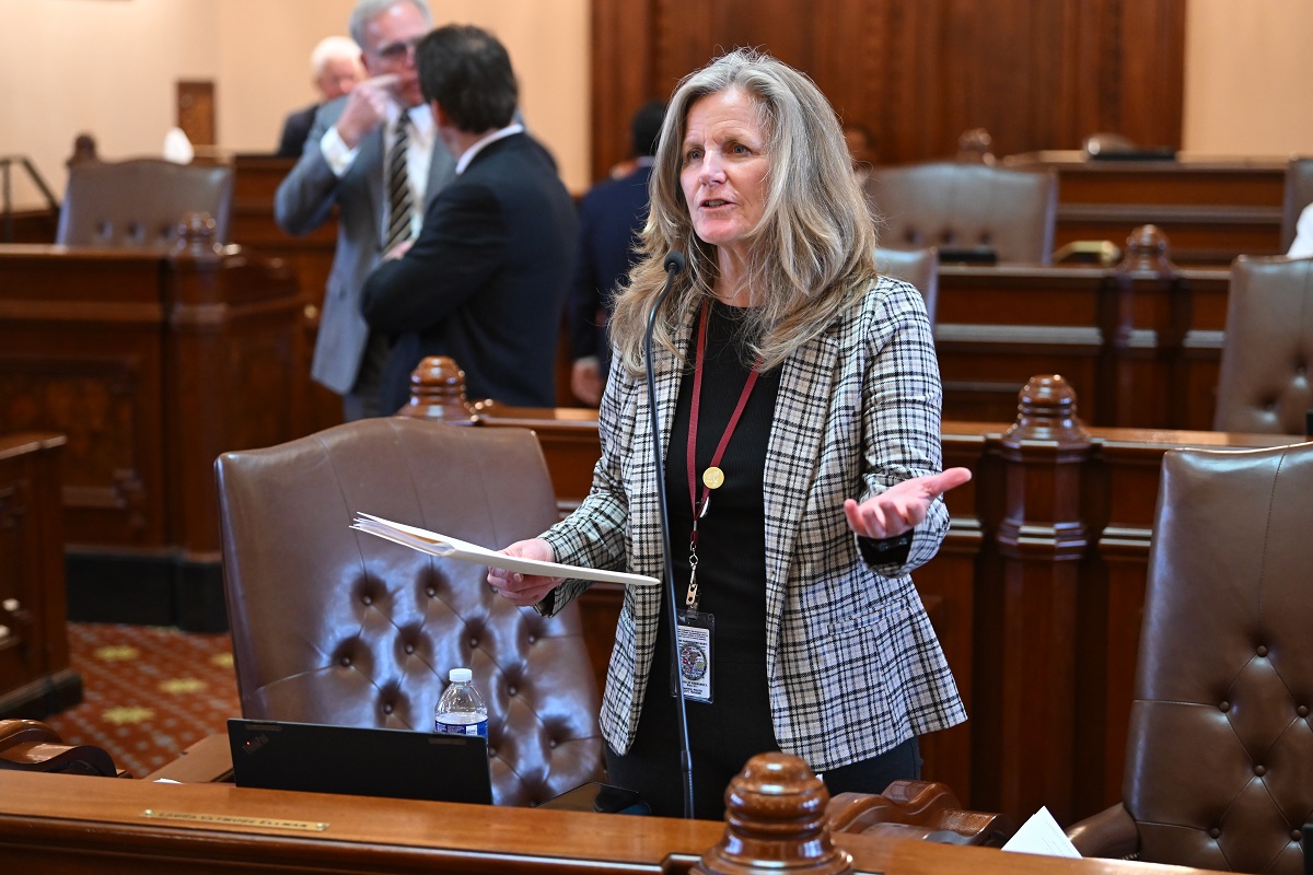 State Senator Laura Ellman speaks on the Senate floor