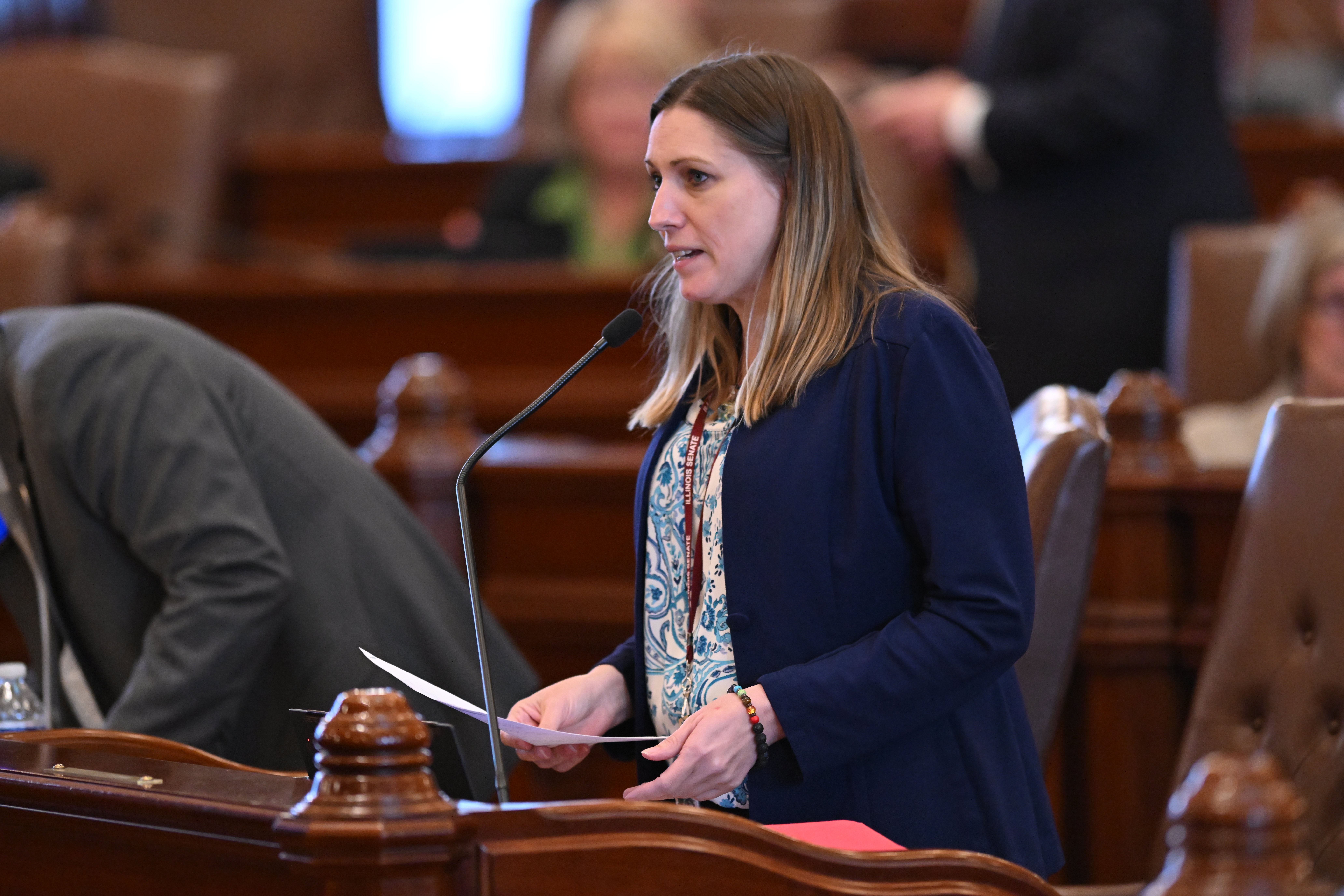 State Senator Rachel Ventura addresses the Illinois Senate