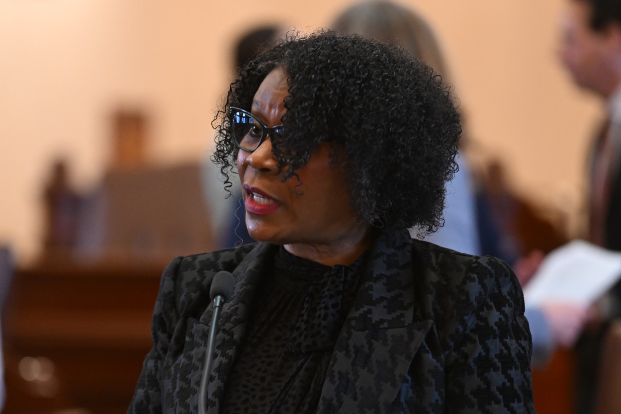 State Senator Adriane Johnson addresses the Illinois Senate