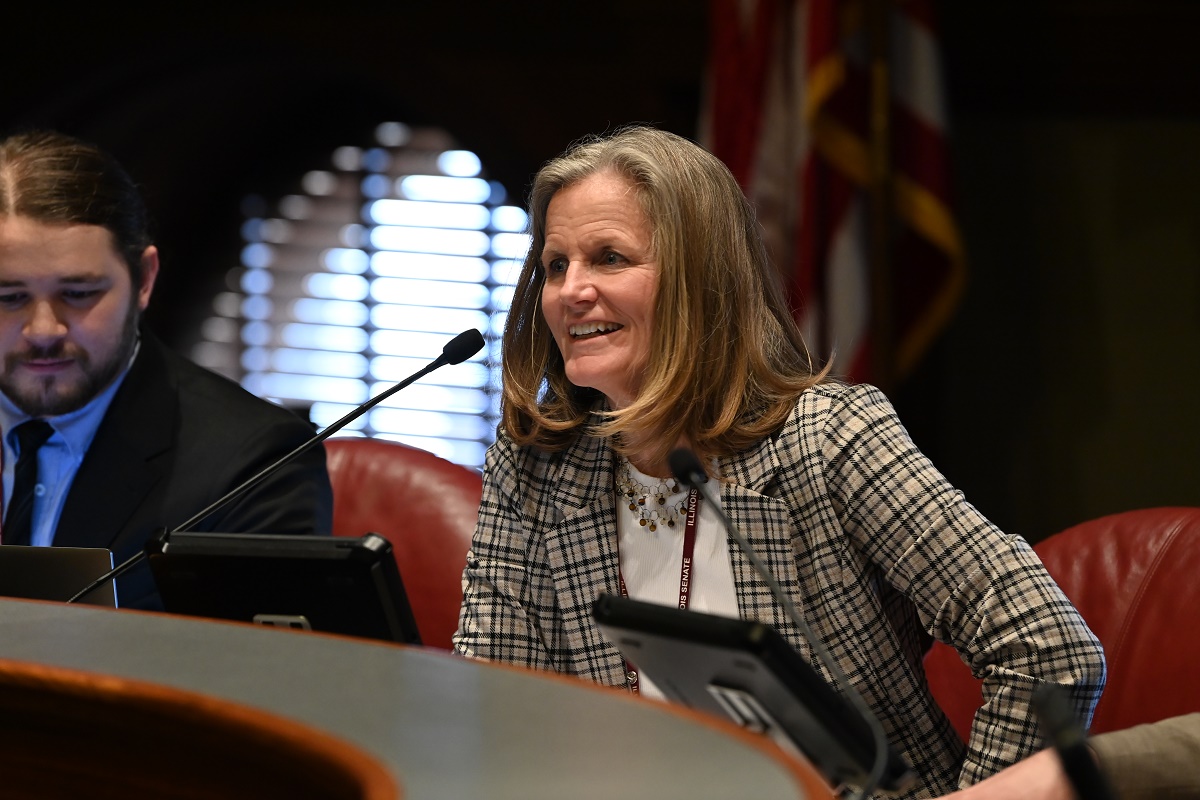 State Senator Laura Ellman at a committee meeting