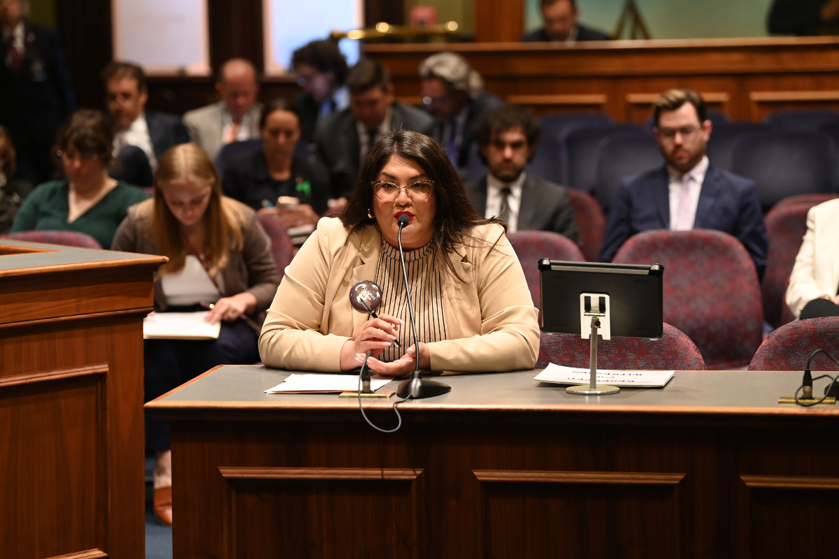 State Senator Graciela Guzman addresses the Senate Executive Committee.