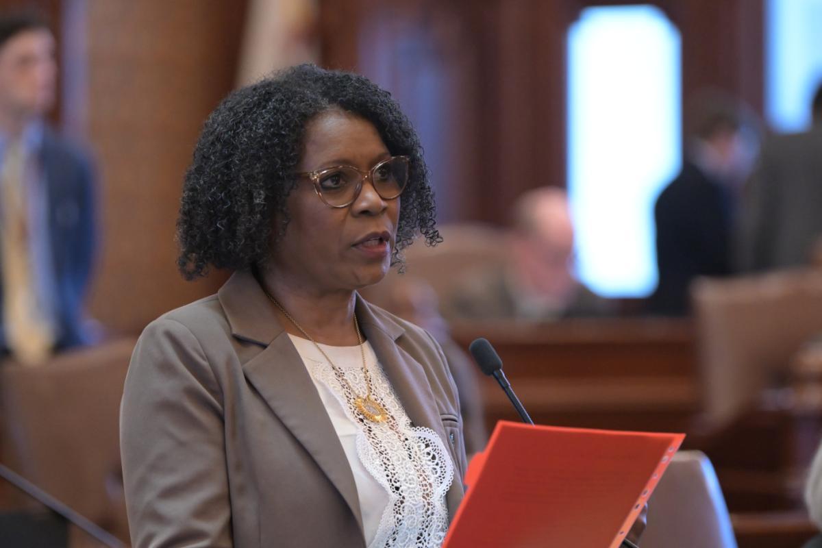 State Senator Adriane Johnson addresses the Illinois Senate.