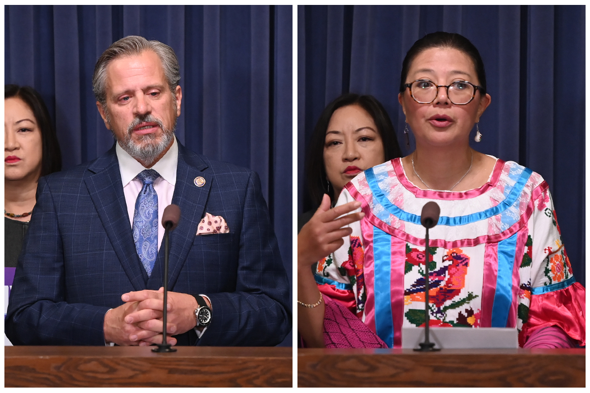 State Senators Robert Martwick and Karina Villa speak at press conferences
