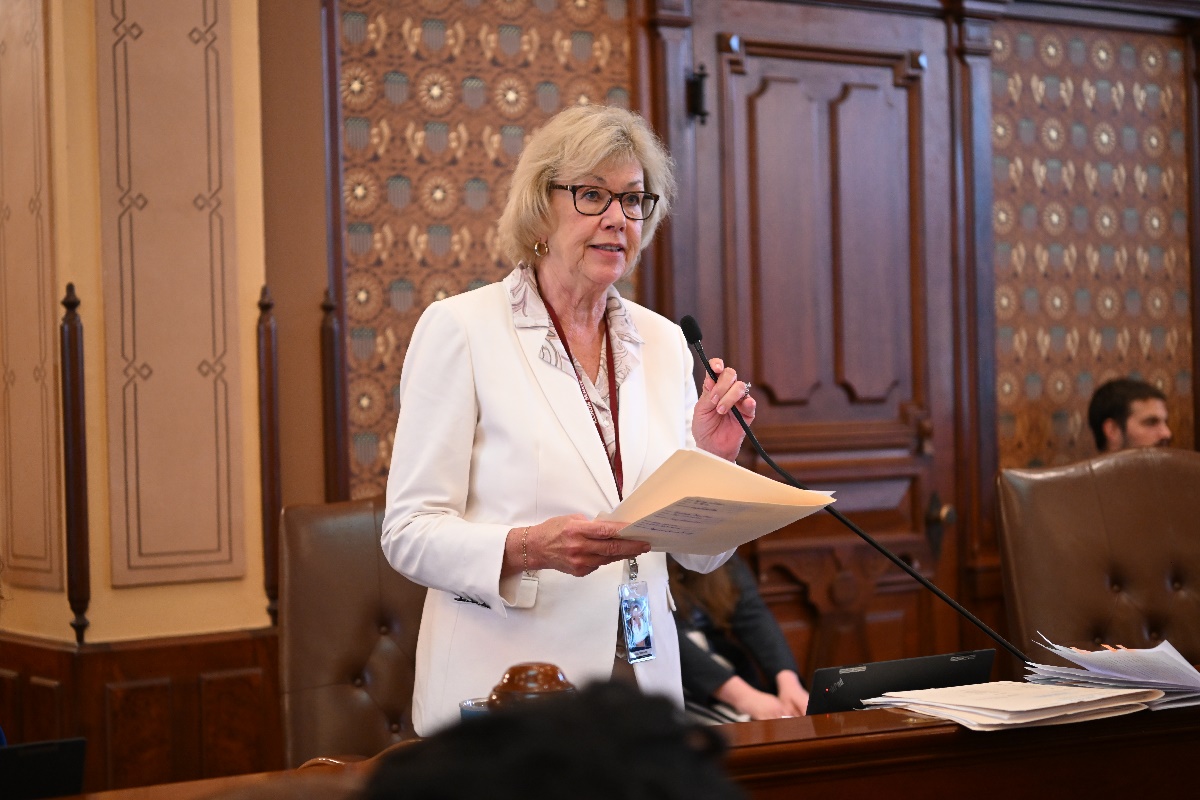 State Senator Julie Morrison speaks on the Senate floor
