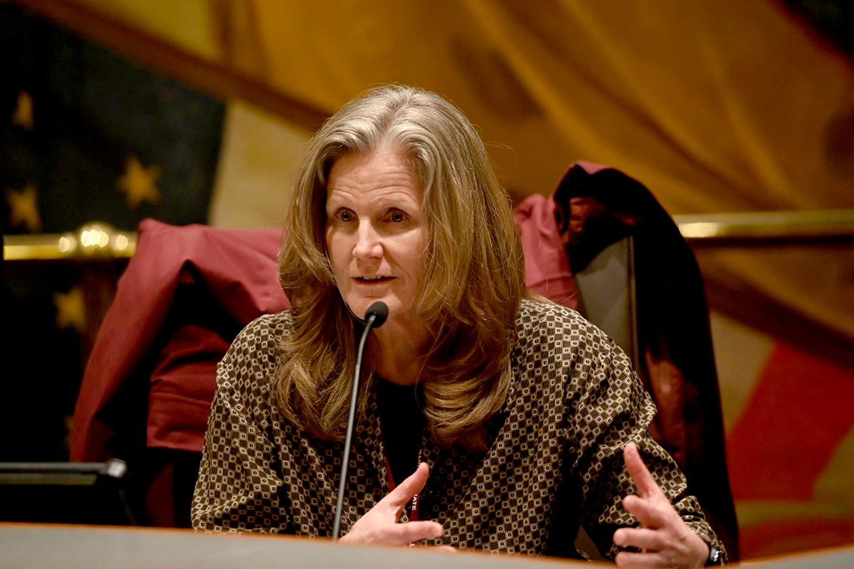 (Photo) Sen. Ellman speaks in committee