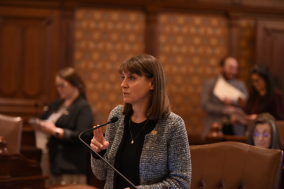SENATOR FINE SB 3925