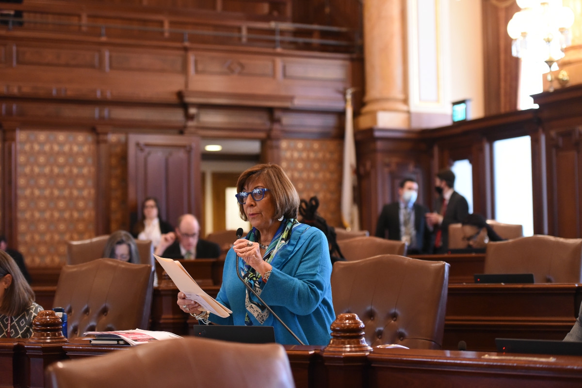 Senator Feigenholtz