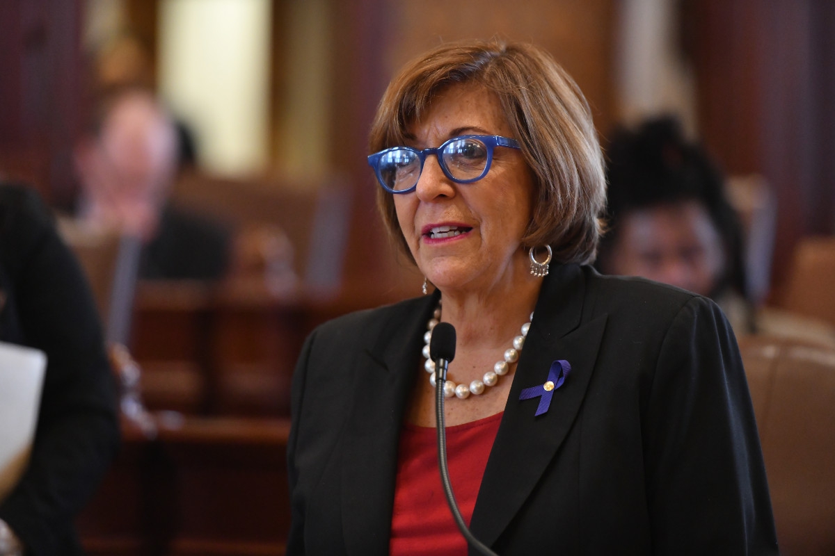 Senator Feigenholtz