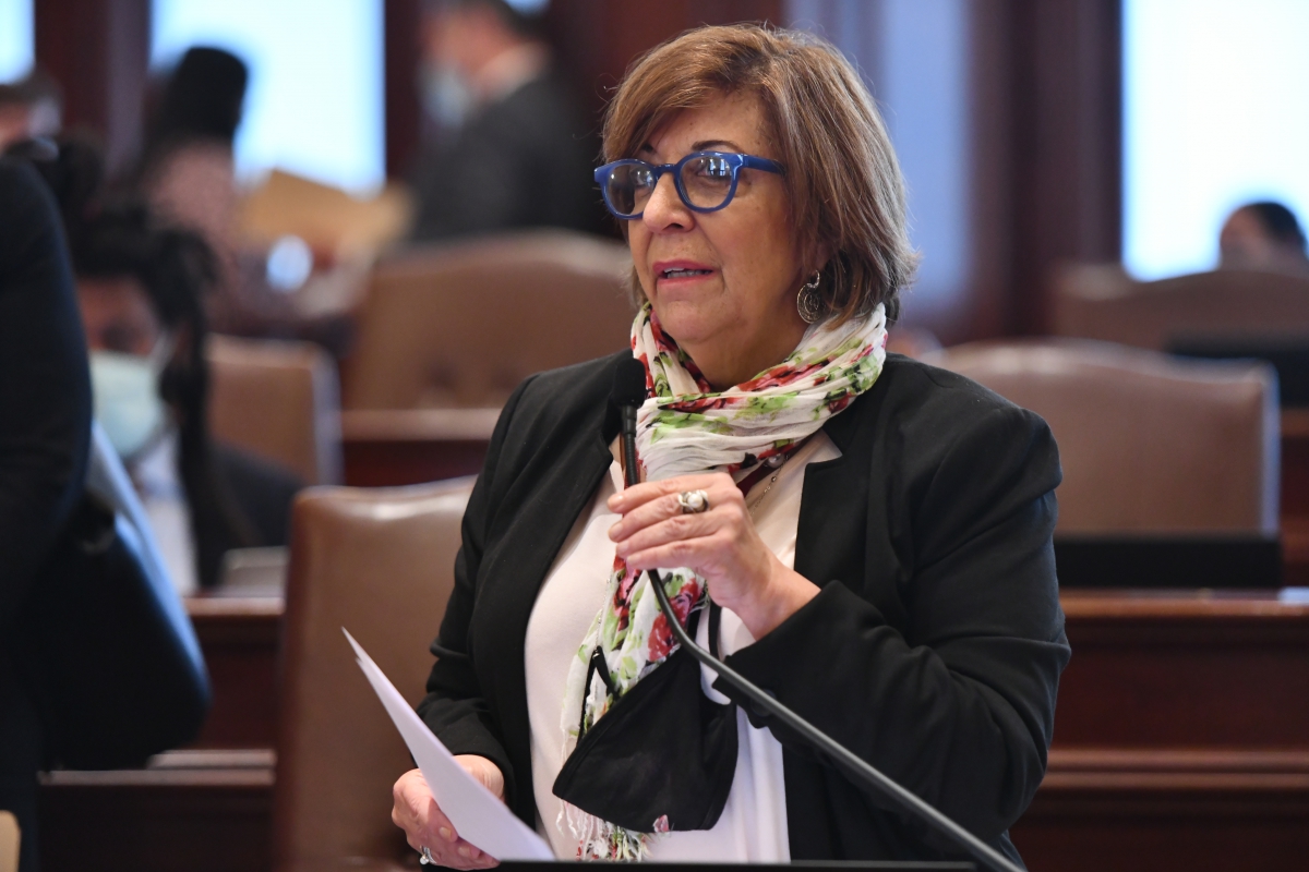 Senator Feigenholtz