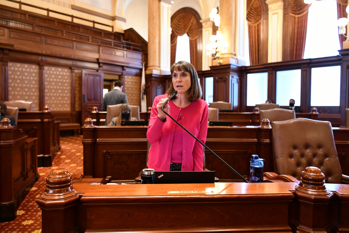 Senator Fine