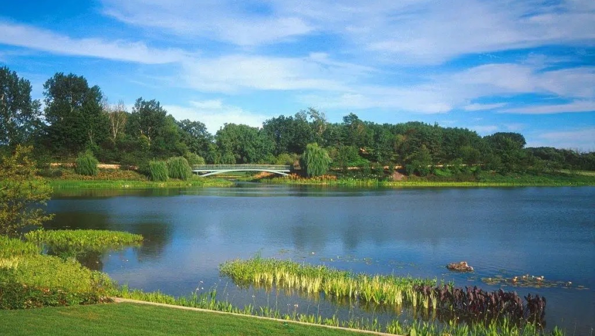 Lake county