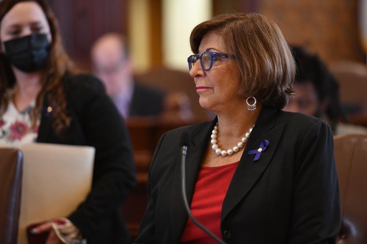 Senator Sara Feigenholtz
