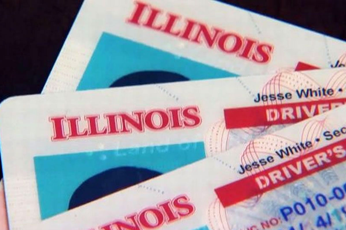 driver licenses 