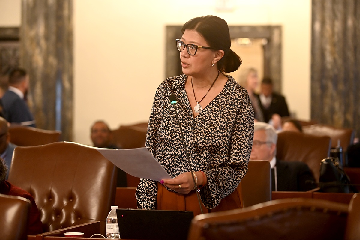 Illinois Senate Democratic Caucus files comprehensive civil rights legislation in response to ICE activities