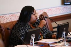 Collins holds subject matter hearing to advocate for minority owned data centers in Illinois